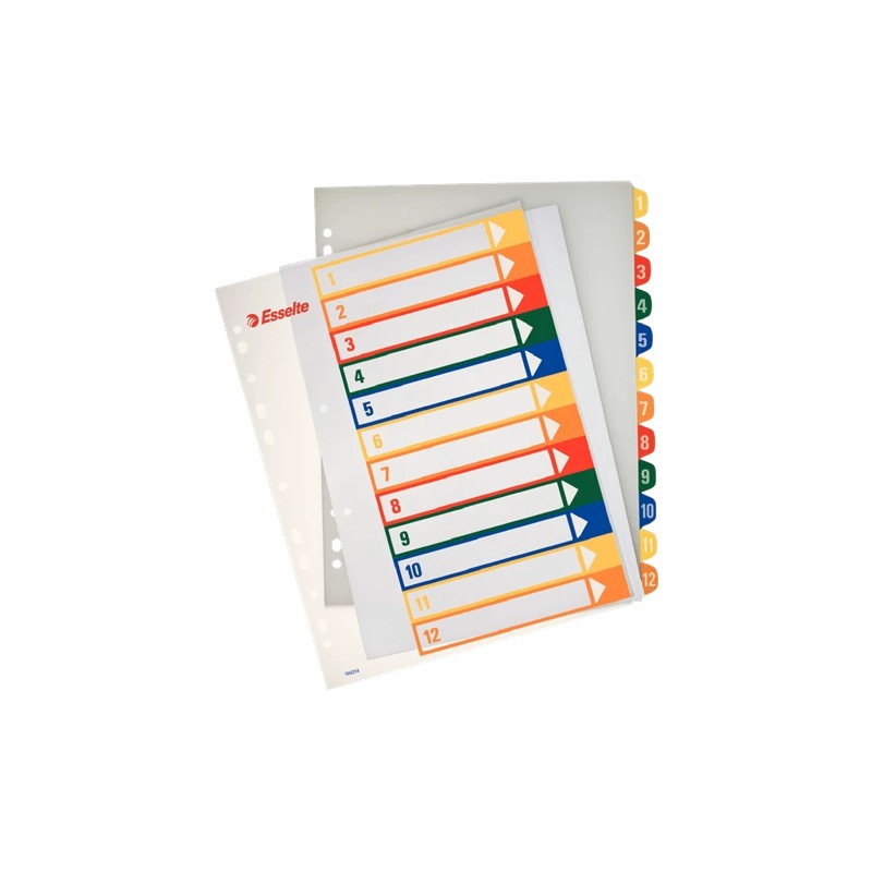 Esselte Printer Label Multicolour